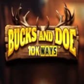 Bucks and Doe 10K Ways