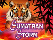 Sumatran Storm