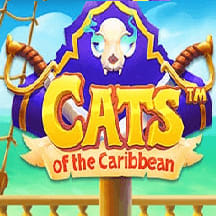 Cats of the Caribbean