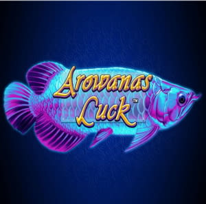 Arowanas Luck