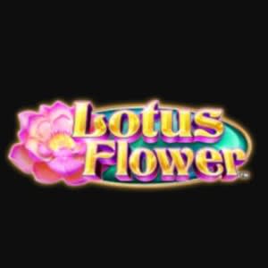 1598267004lotus flower 1