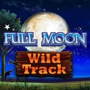 5717777e187a14c756cd15c592e463d0full moon wild track slot logo