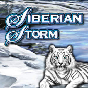 1569856063SIBERIAN STORM