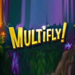 Multifly!