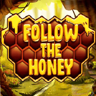 Follow The Honey