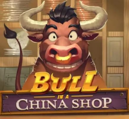 Bull in a China Shop