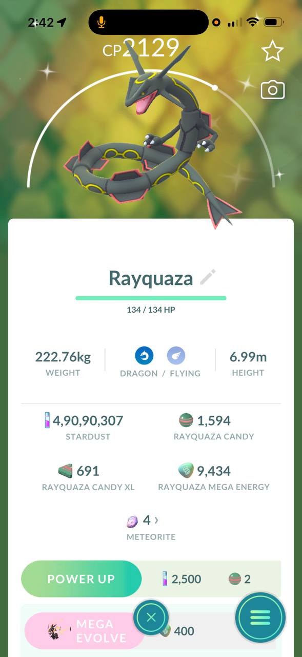 Shiny Rayquaza