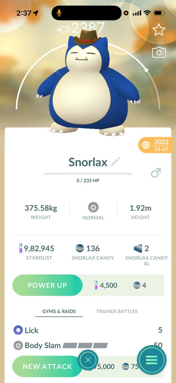 Cowboy Hat Snorlax