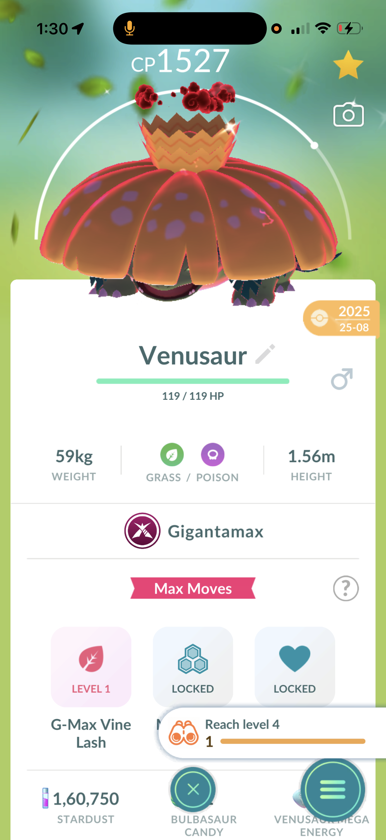 Shiny Gmax venusaur
