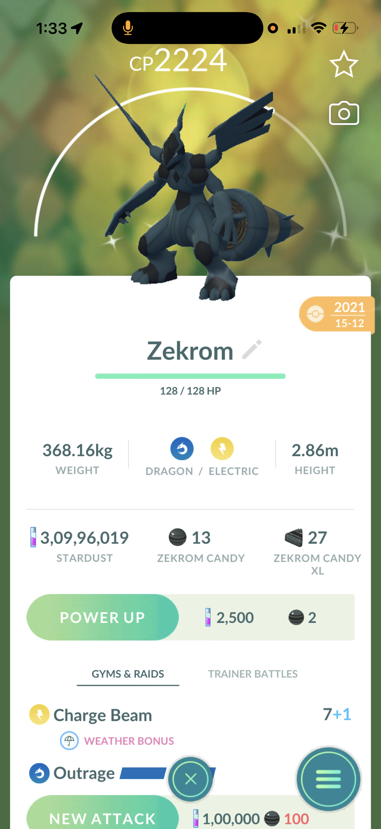 Shiny Zekrom
