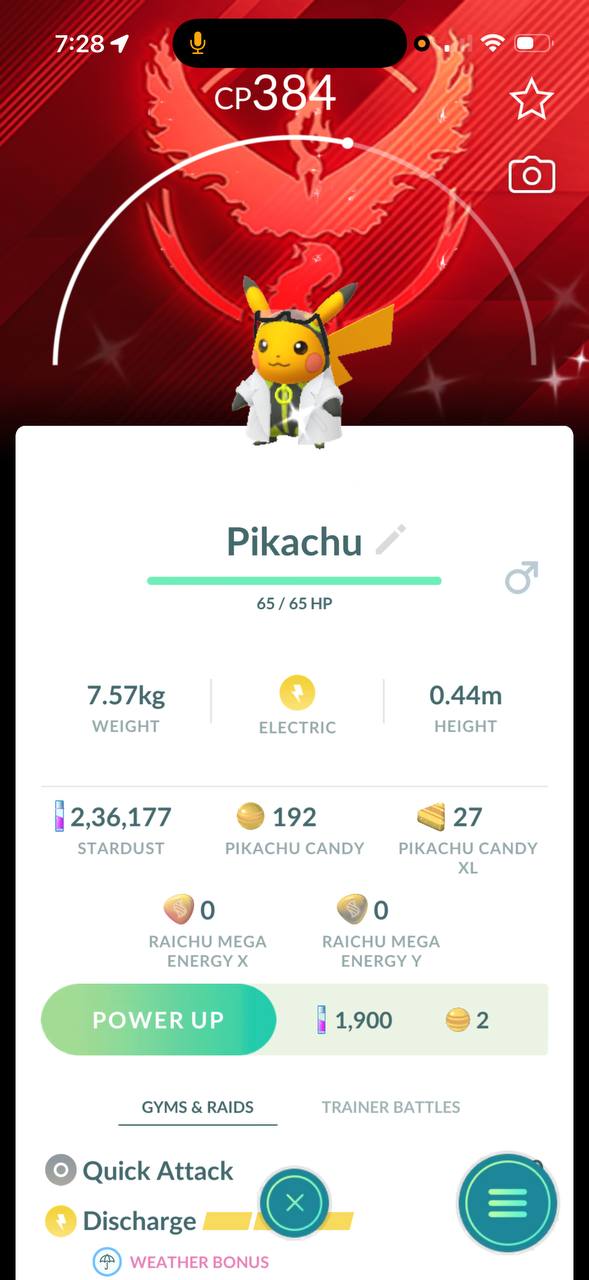 Shiny Willow Pikachu - Valor BG