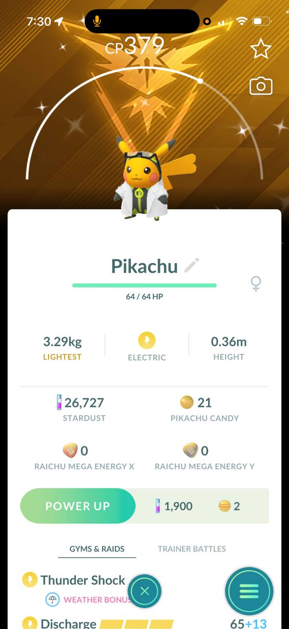 Shiny Willow Pikachu - Instinct BG