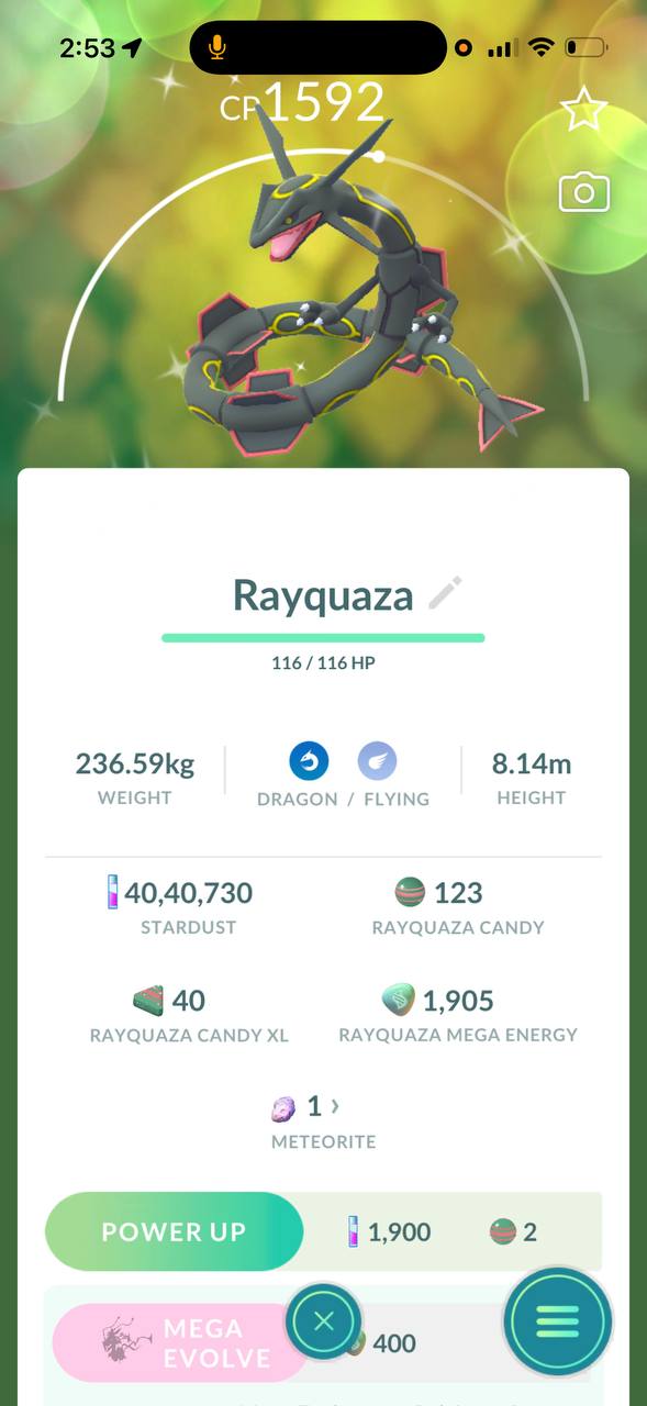 Shiny Ray Red Pokeball