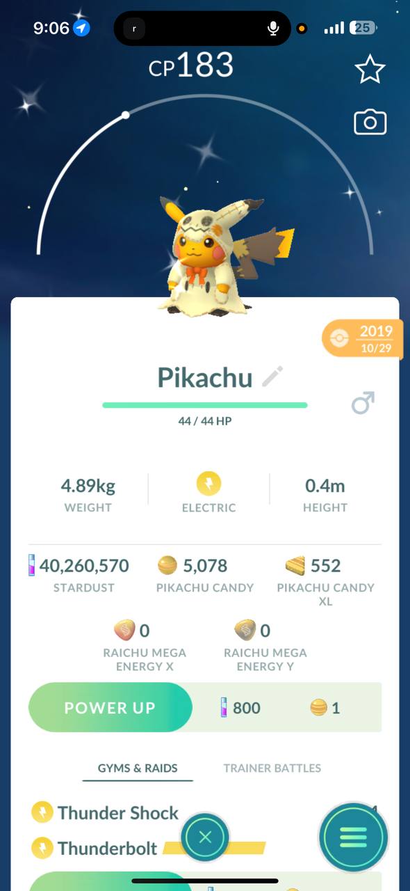 Shiny Pikachu Costume Mimikyu Halloween -Guaranteed Lucky