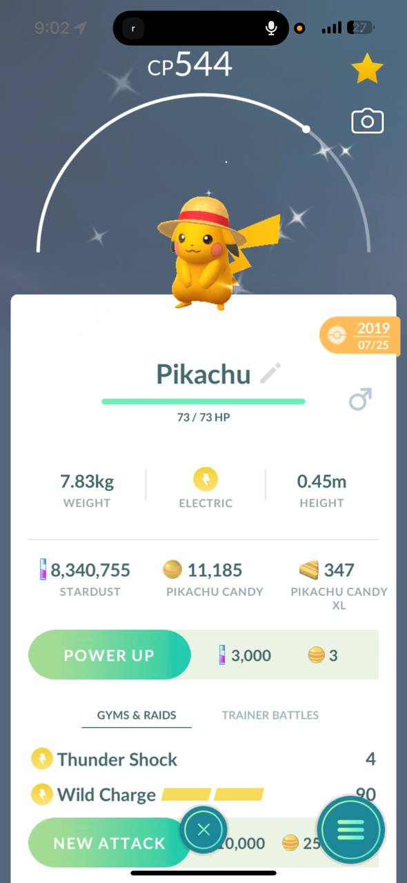 Pokémon ✨Shiny Pikachu Straw Hat/Luffy ✨