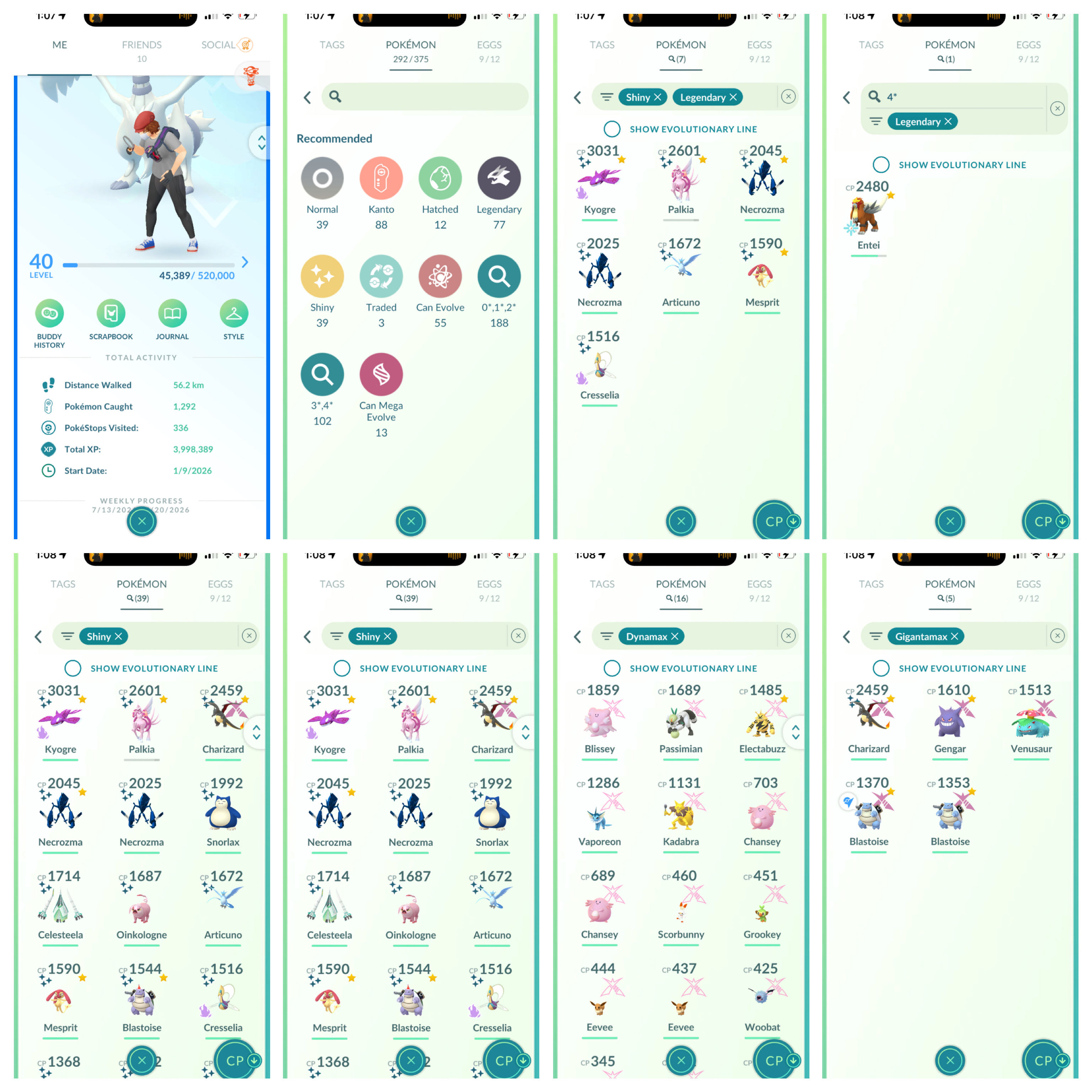 Level - 40 account