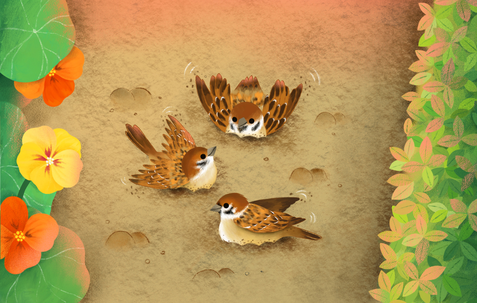 sparrows bath