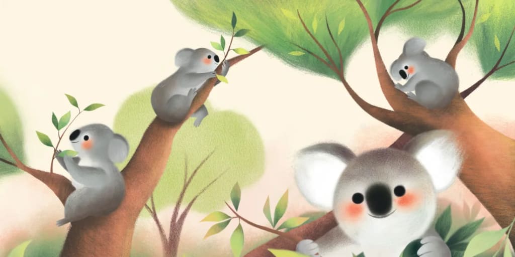 fluffles the brave koala who survived a bushfire inside