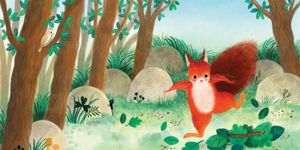 squirrel forest