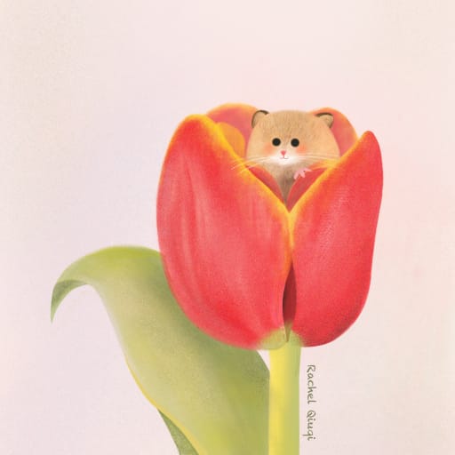 mouse tulip