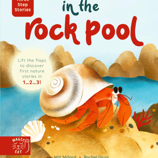 in the rock pool cover