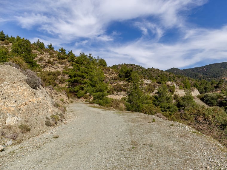 Troodos forest, Cyprus