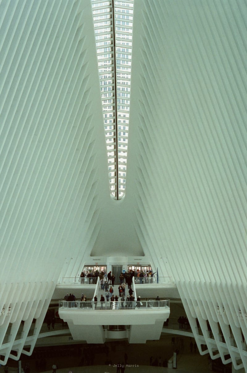 NEW YORK CITY