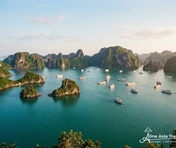 Croisière dans la baie d’Ha Long