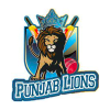 PNL Cricket Logo