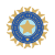 India Cricket Logo