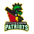 St Kitts and Nevis Patriots Cricket Logo