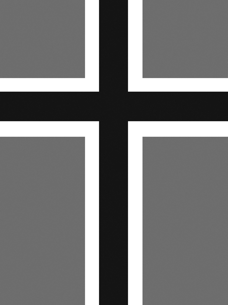When Viewed From Afar — In a Black & White Reality (gray flag)