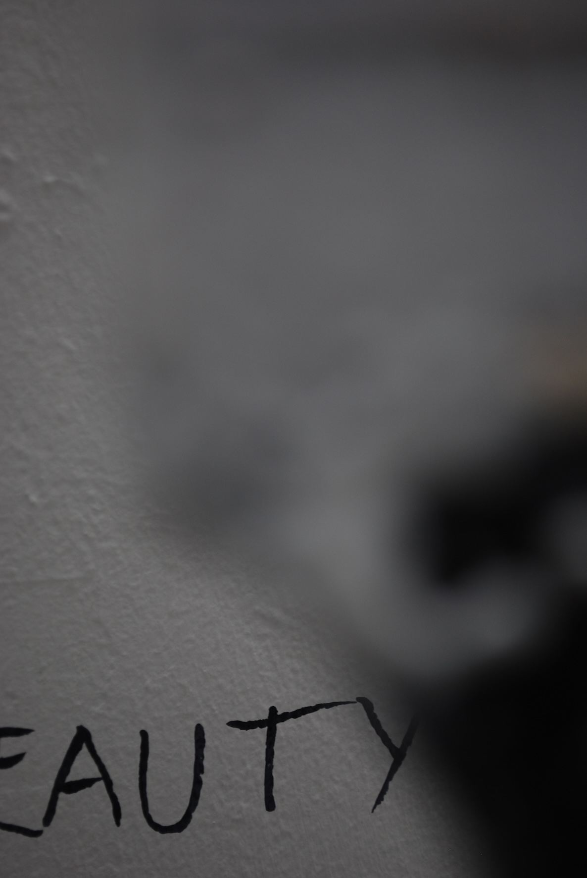 Distance (blurred reality) — beauty_1
