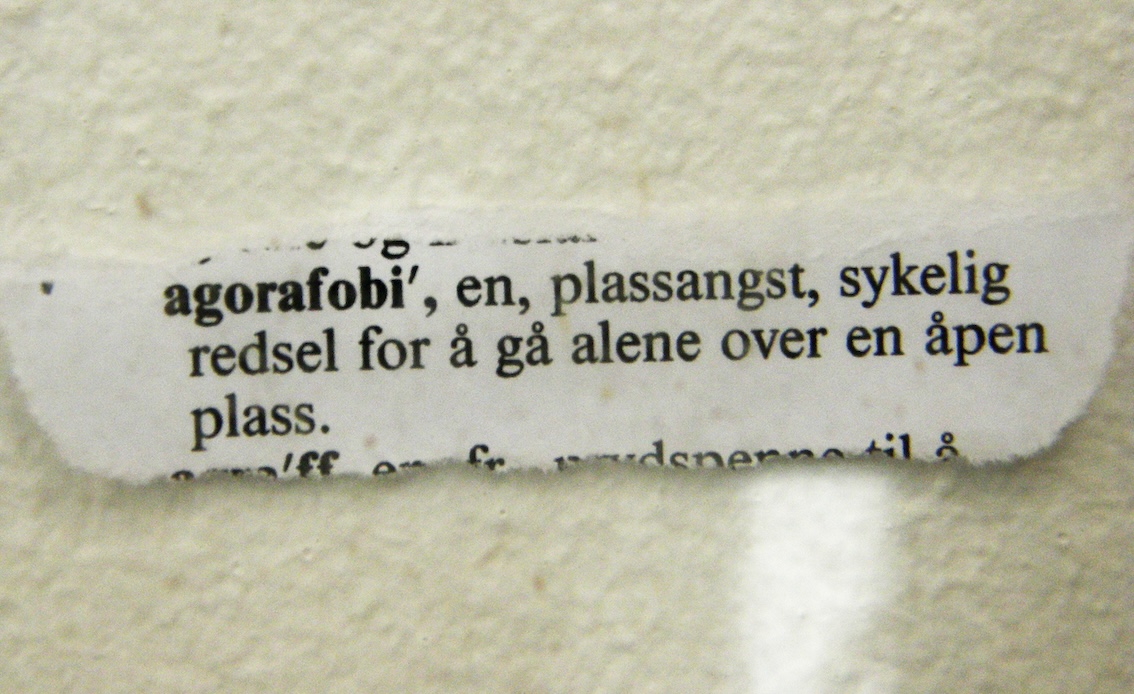 The Agoraphobia Project — Her Secret World, detail