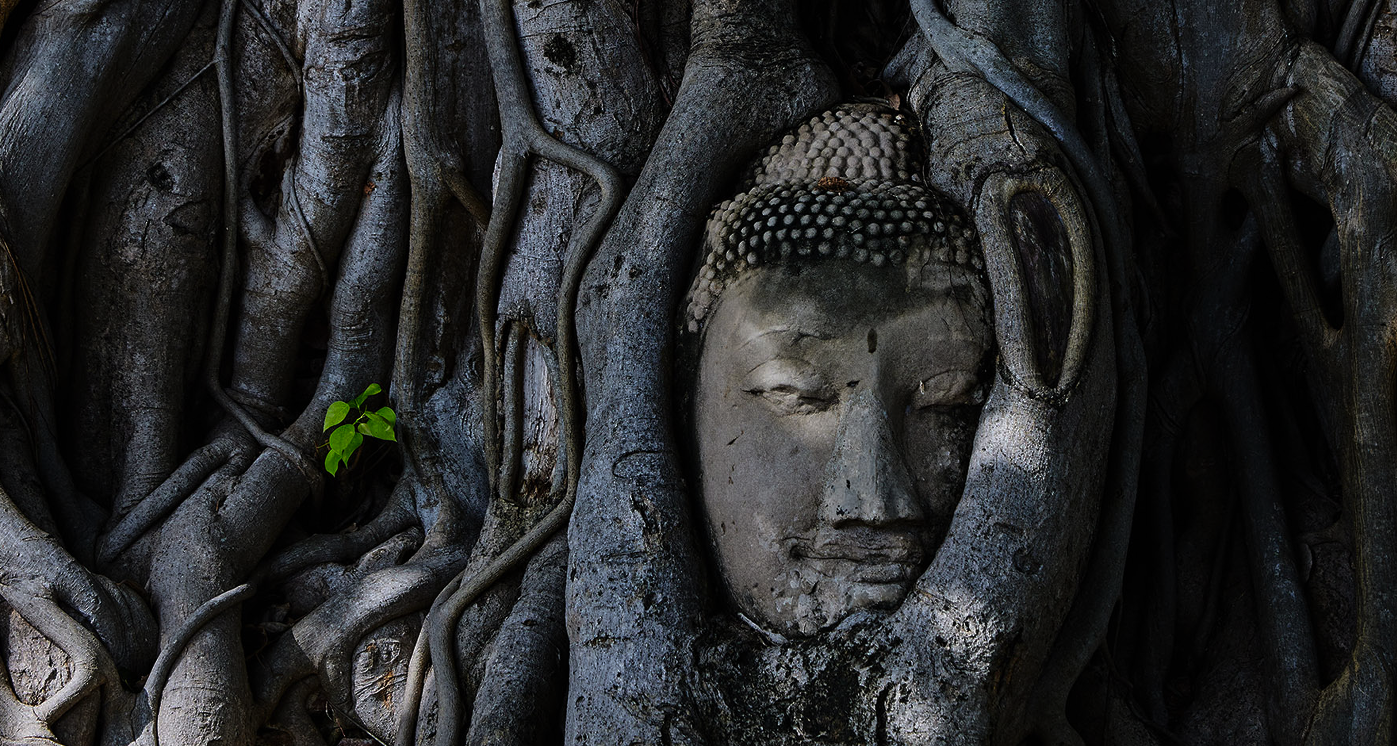 The Art of Restoration