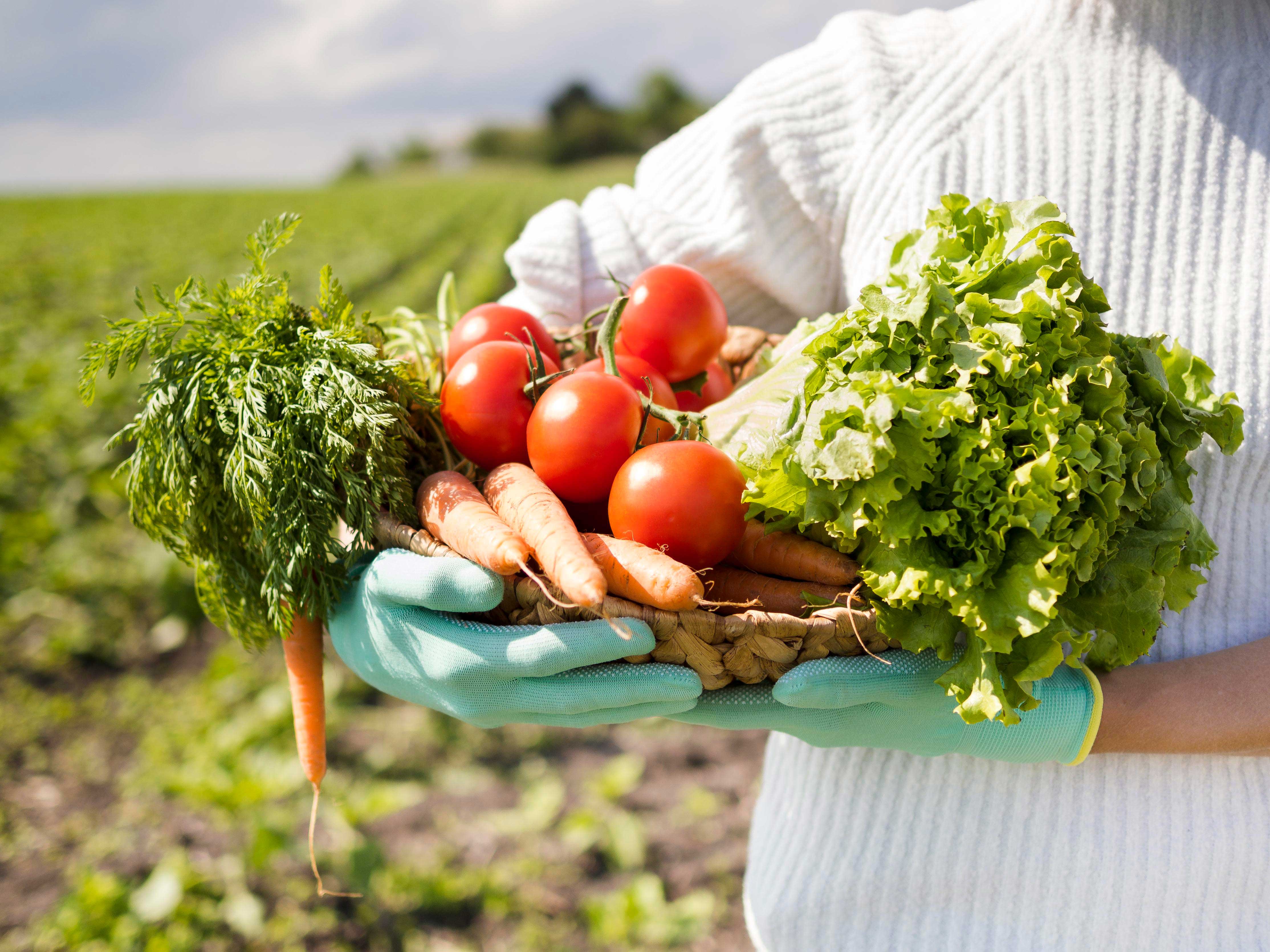 Agricultural Retail