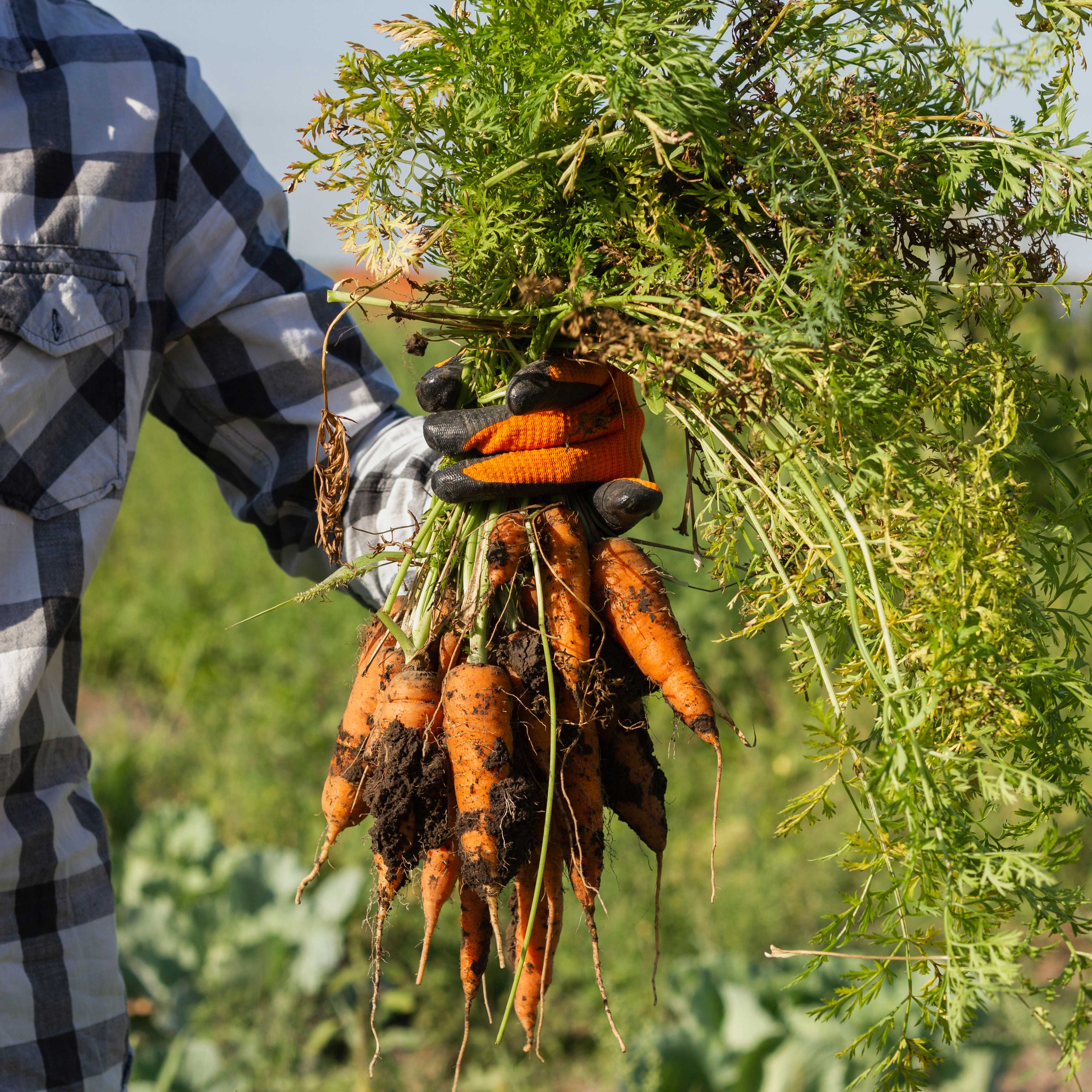 Mdeka Acre Expands Agrovet Product Range