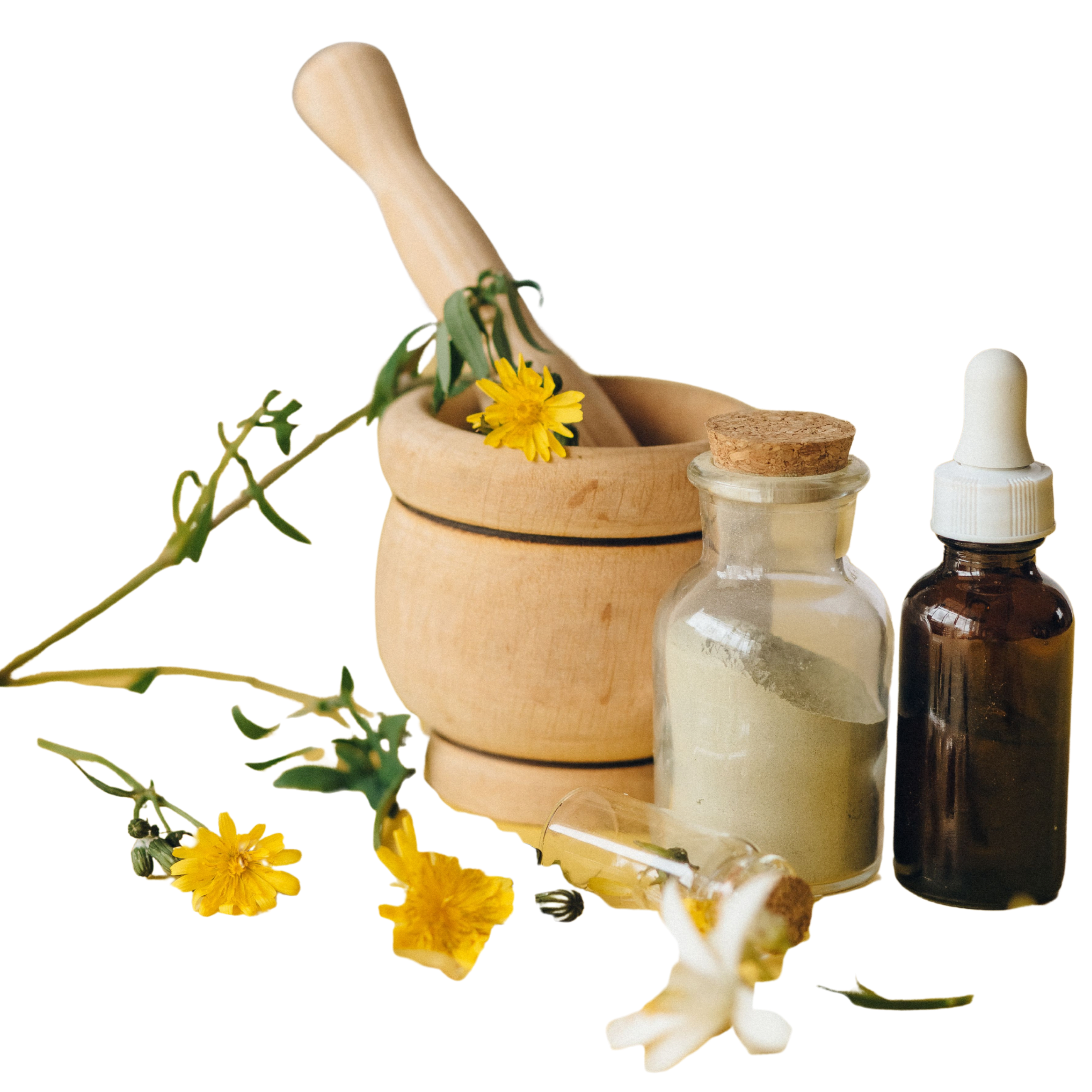 Organic Herbal Excellence From Nature