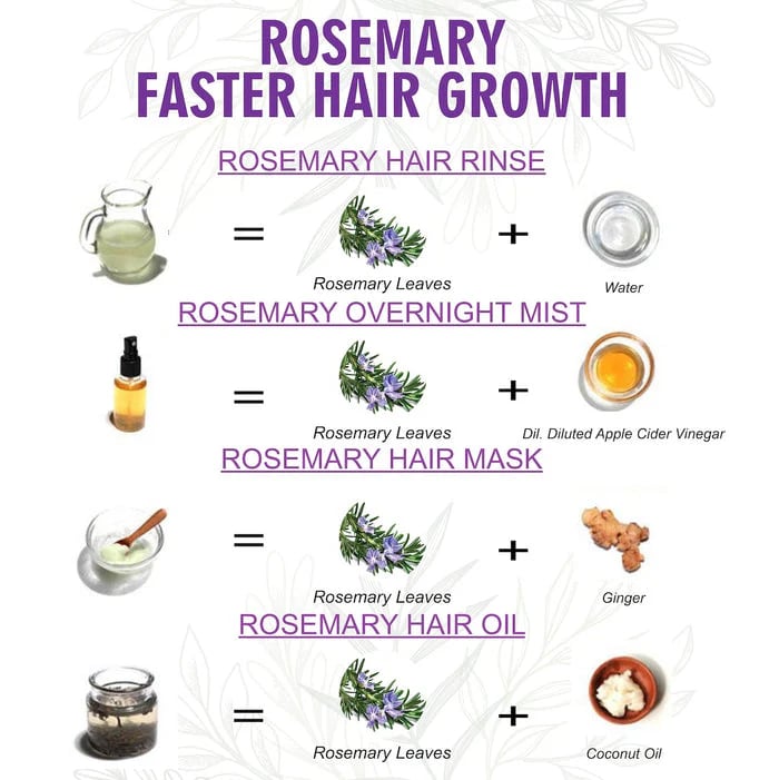 Rosemary Leaves (200g) thumbnail 3