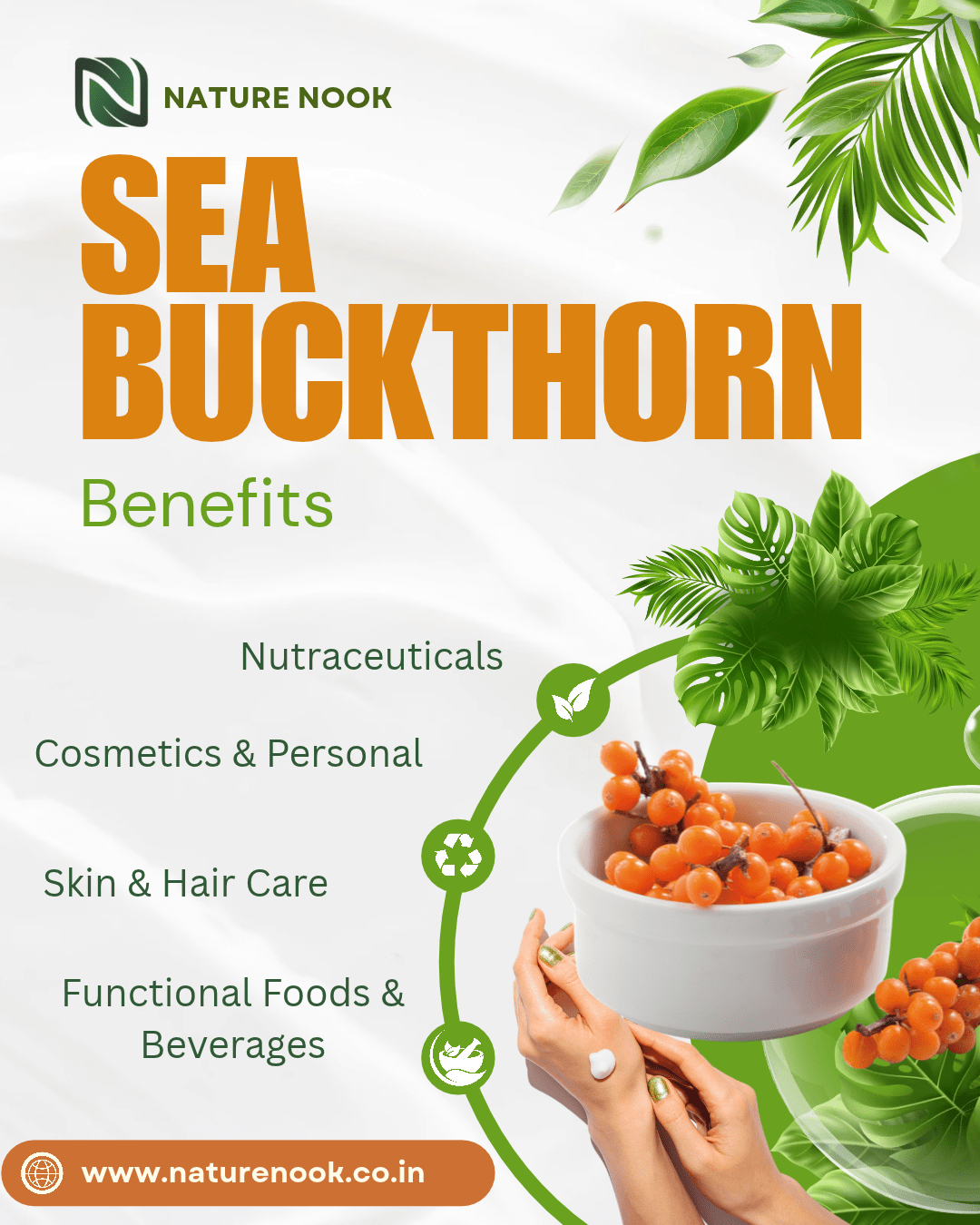 Himalayan Sea Buckthorn Powder (100g) thumbnail 3