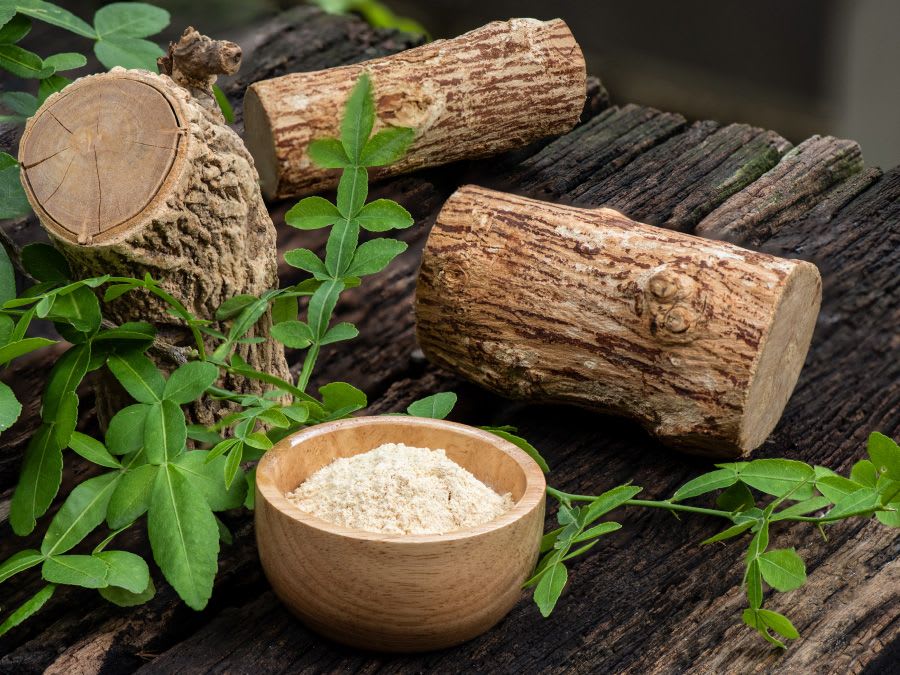 Top 10 Ayurvedic Product Companies in India: Leading the Wellness Revolution (Detailed Guide)