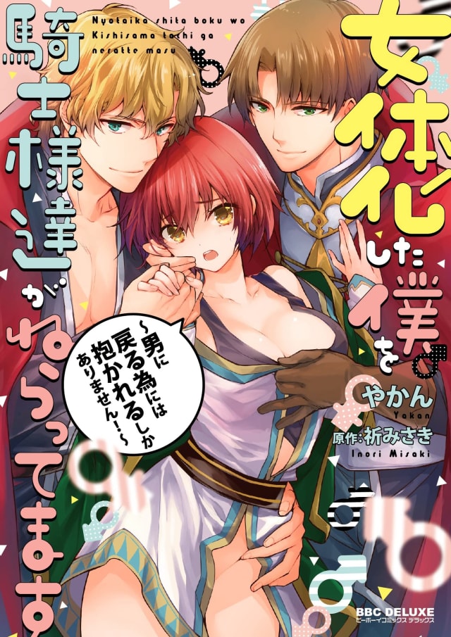 女体化した僕を騎士様達がねらってます
