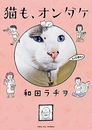 猫も、オンダケ
