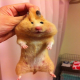ぷにょた