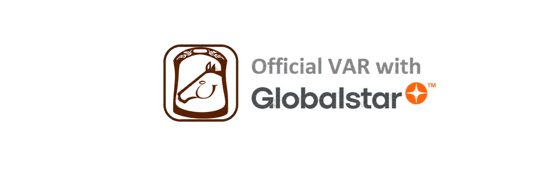 Spotter Globalstar