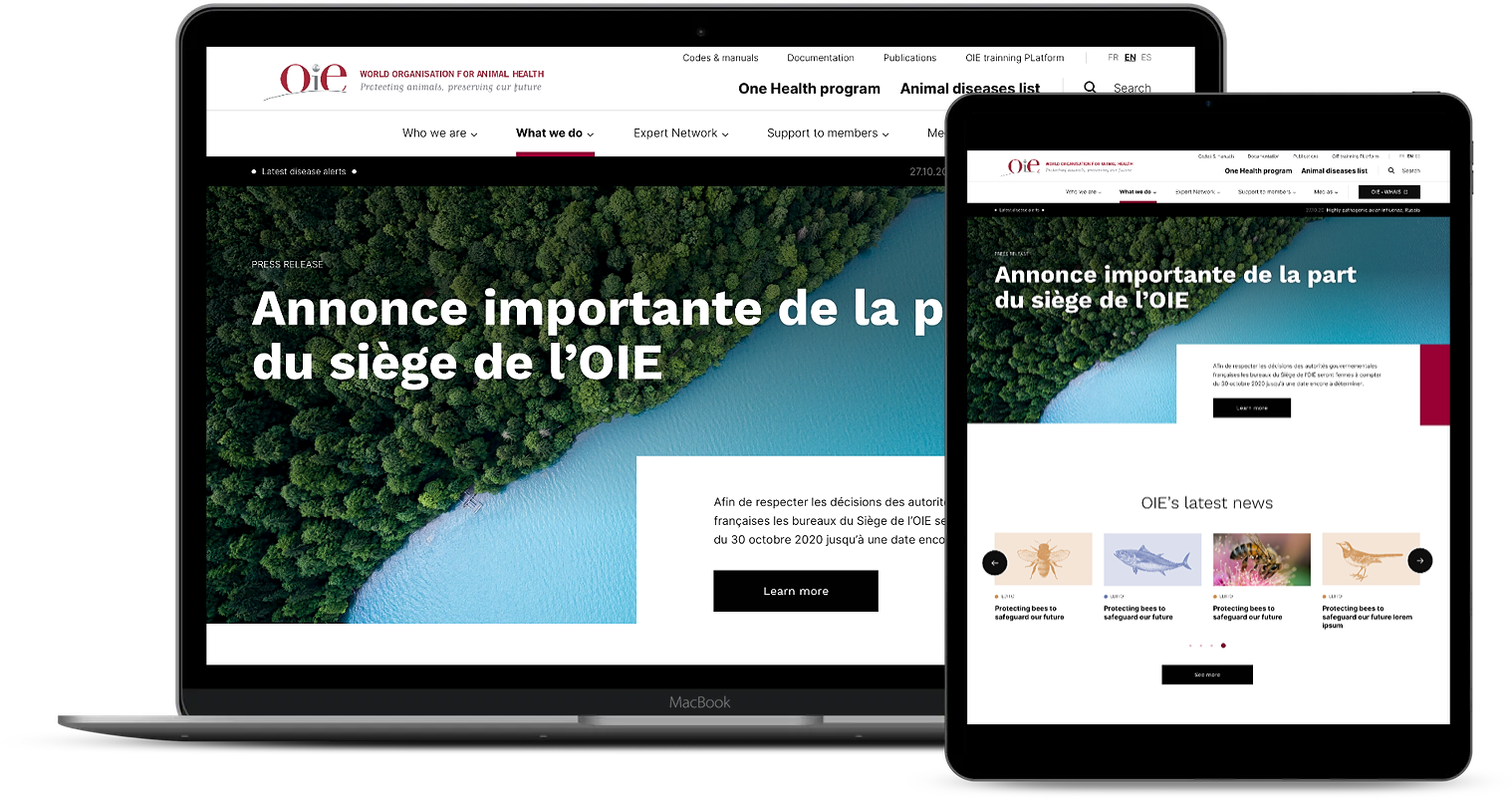 Le site web de l'OMSA