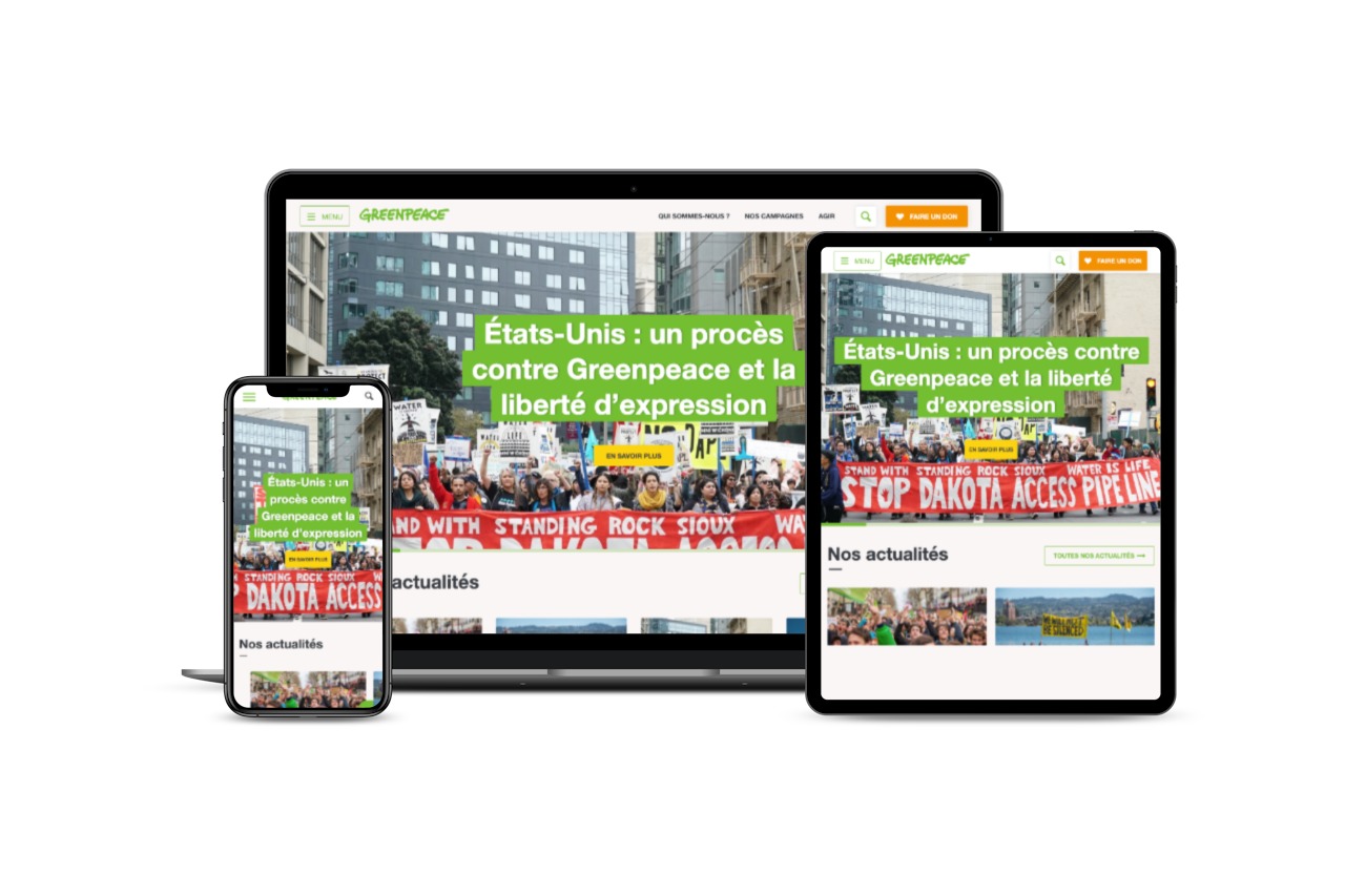 Capture d'écran du site web de Greenpeace France