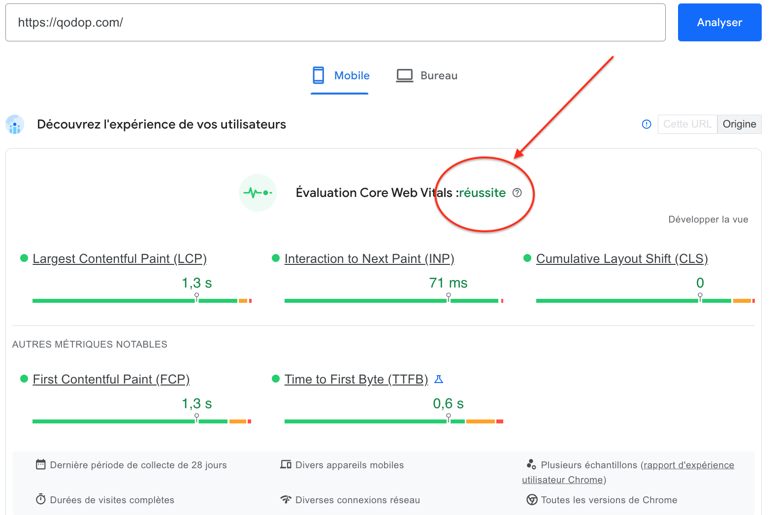 capture de l'outil de test de performances de Google