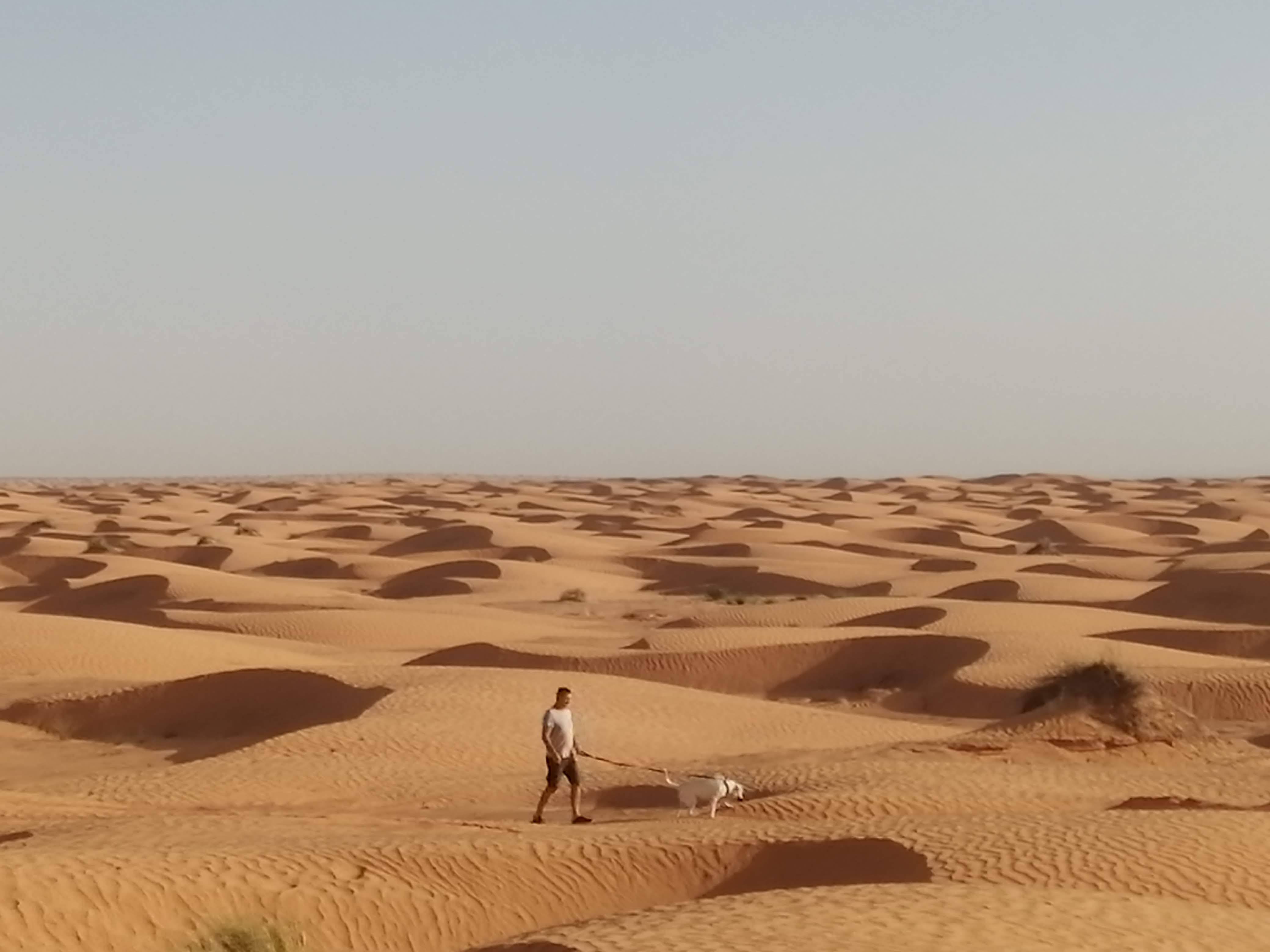 Un homme promène son chien dans le désert : métaphore visuelle de l'accompagnement d'organisations sur des terrains techniques difficiles comme la protection antispam