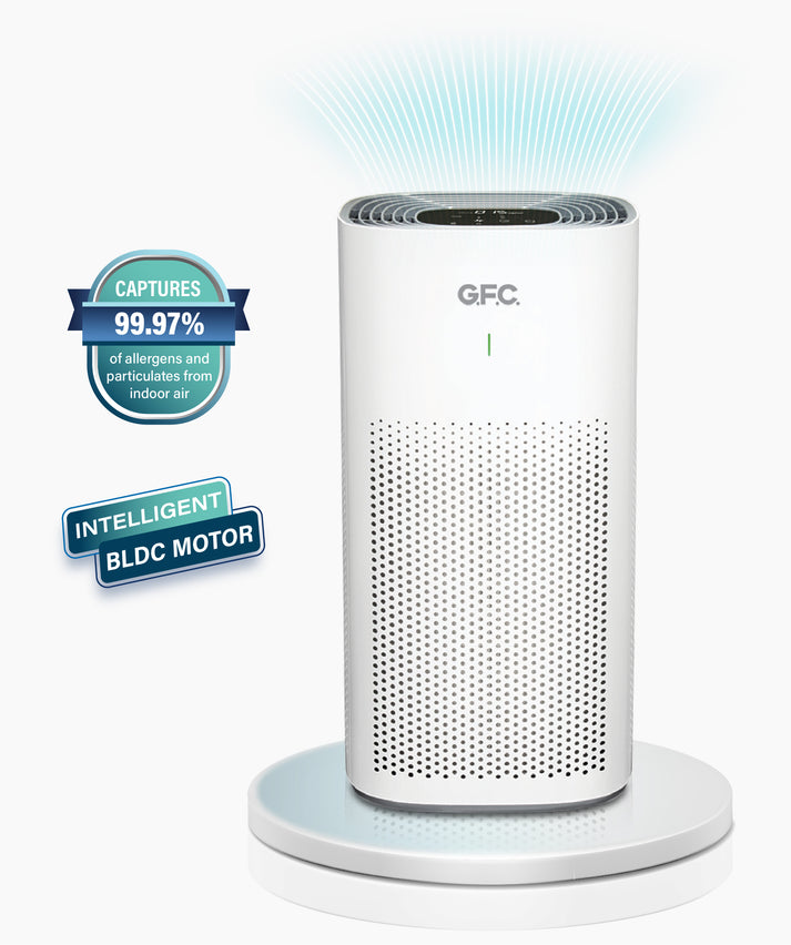 GFC Air Purifier (GF-400)